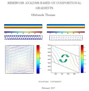"Reservoir Analysis Based on Compositional Gradients" by Olubusola Thomas