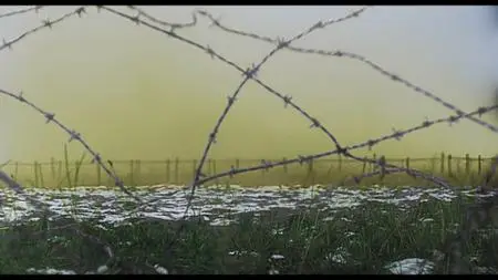 They Shall Not Grow Old (2018)