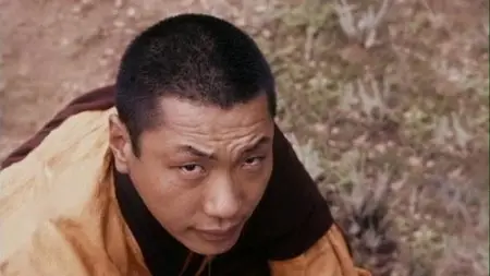 Crazy Wisdom: The Life & Times of Chogyam Trungpa Rinpoche (2011)