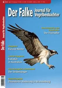 Der Falke Journal für Vogelbeobachter – Juni 2023