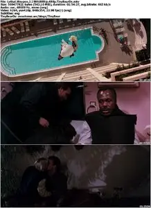 Lethal Weapon 2 (1989) [Reuploaded]