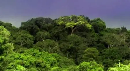 Gabon the last Eden