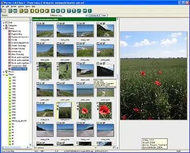 BR Software PixFiler 5.4.17