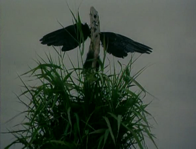 Balada o zeleném drevu aka A Ballad About Green Wood  – Jiří Barta (1983)