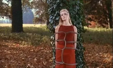 Luis Buñuel-Belle de jour (1967)