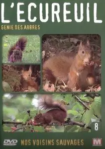 L'écureuil Génie des arbres (2005)