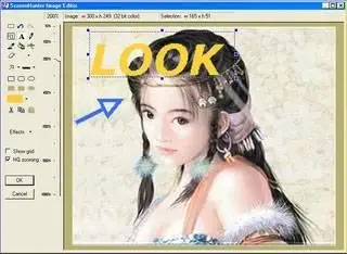 WisdomSoft ScreenHunter Pro v4.3.682