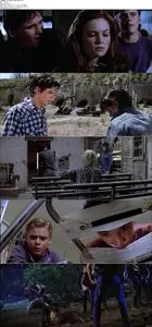 The Outsiders (1983)