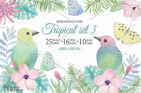 CreativeMarket - Tropical watercolor set 3. Plumeria