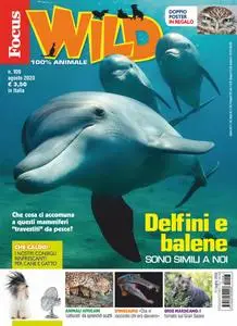 Focus Wild – agosto 2020
