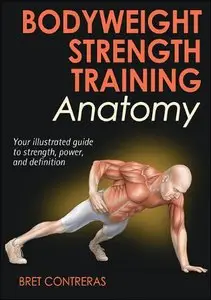 Bodyweight Strength Training Anatomy (repost)