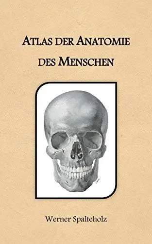 Des menschen