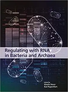 Regulating with RNA in Bacteria and Archaea