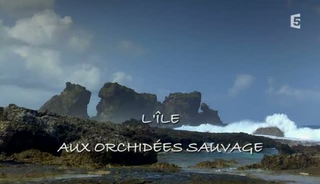 (Fr5) L'île aux orchidées sauvages (2011)