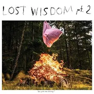 Mount Eerie - Lost Wisdom, Pt. 2 (2019) [Official Digital Download 24/96]