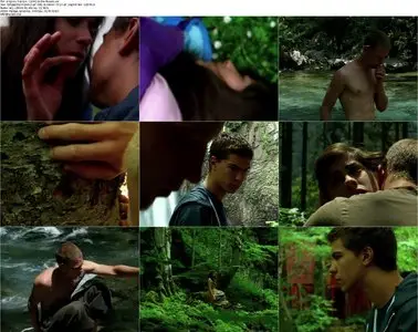 In the Woods (2010)