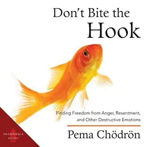 Don't Bite the Hook: Finding Freedom from Anger, Resentment, and Other Destructive Emotions [Audiobook]