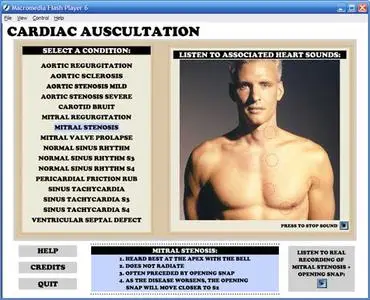 Cardiac Auscultation v3.0