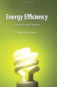 Energy Efficiency: Principles and Practices