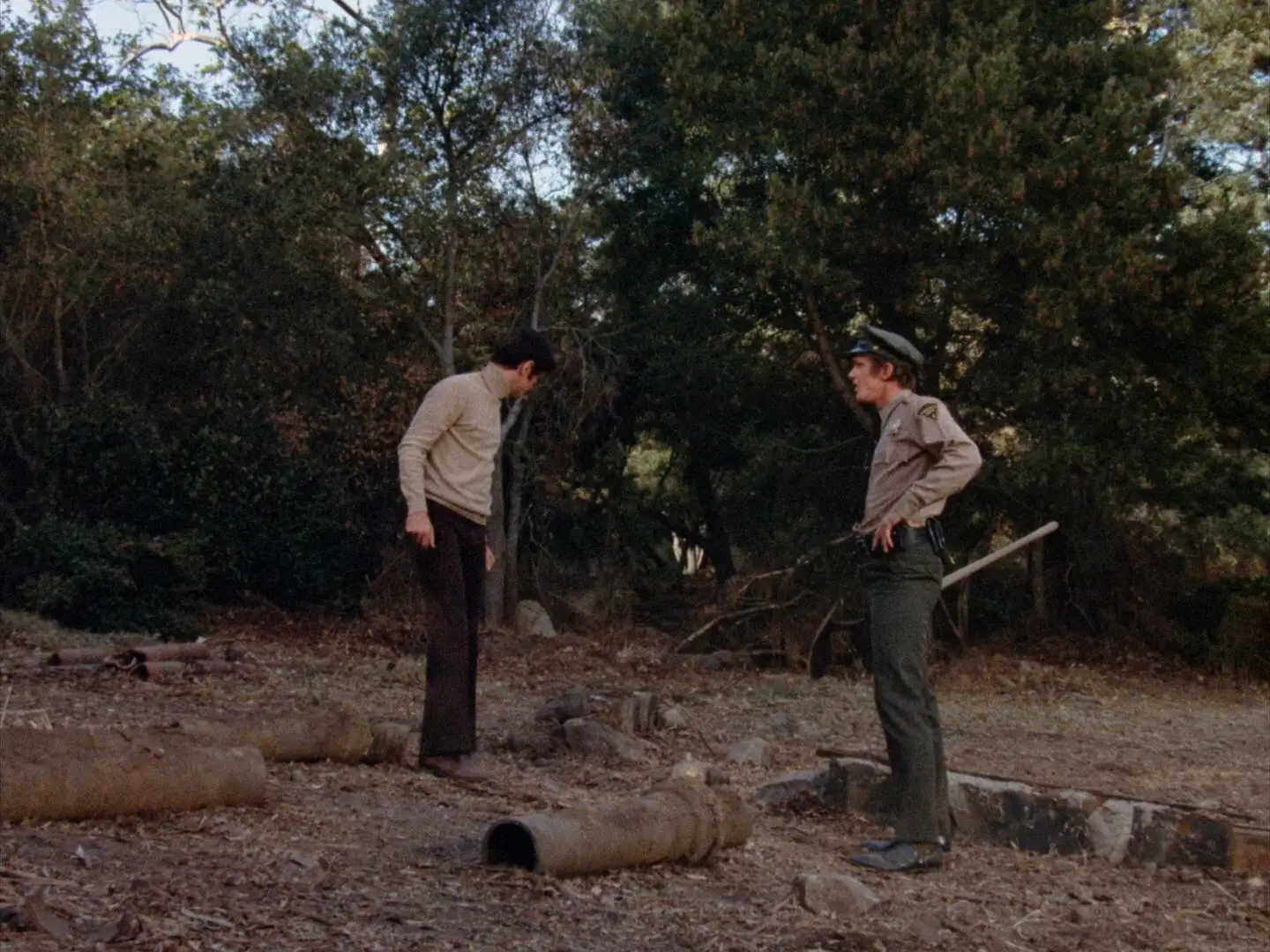 The Screaming Woman (1972)