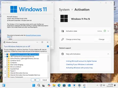 Windows 11 AIO 16in1 24H2 Build 26100.3476 (No TPM Required) Multilingual Preactivated March 2025