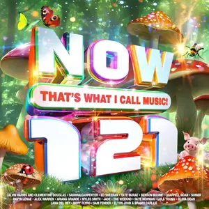 VA - NOW That's What I Call Music! 121 (2025)