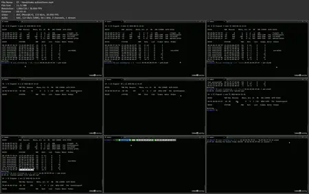 Ethical Hacking: Drahtlose Netzwerke, mobile Geräte, IoT, Cloud und Kryptographie