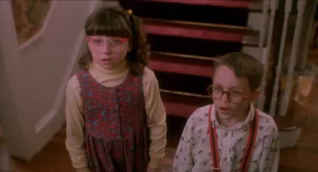 Home Alone (1990) [4K Remaster]