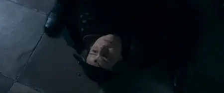The Partisan (2024)