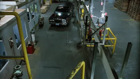 American Yakuza (1993)