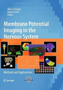 Membrane Potential Imaging in the Nervous System: Methods and Applications (Repost)