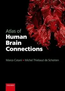 Atlas of Human Brain Connections