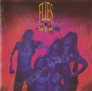 Flies On Fire - Outside Looking Inside (1991)