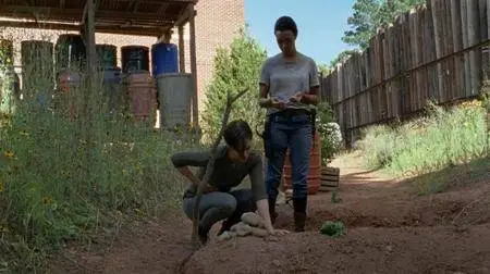 The Walking Dead S07E05 (2016)