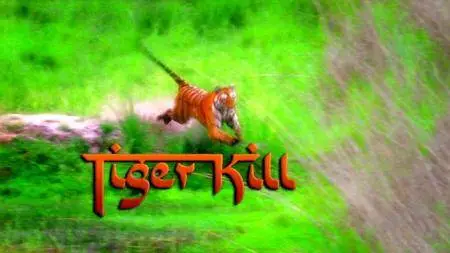 BBC - Natural World: Tiger Kill (2008)