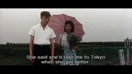 JIGOKU (1960) - (The Criterion Collection - #352) [DVD9] [2006]