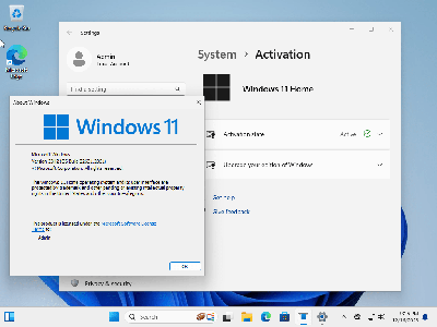 Windows 11 & Windows 10 AIO 32in1 (x64) Preactivated December 2023