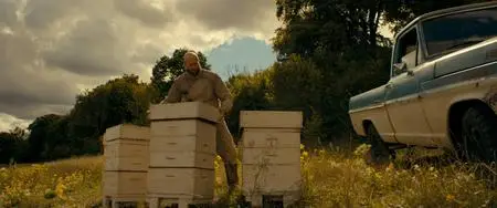 The Beekeeper (2024)