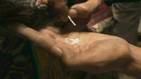 National Geographic Explorer - Heroin Crisis (2008)