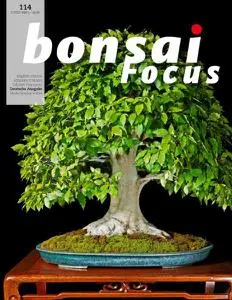 Bonsai Focus (German Edition) - März-April 2022