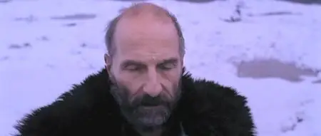 Ostrov