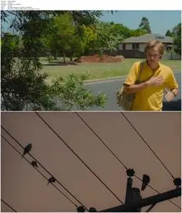 The Black Balloon (2008)