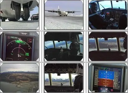 Just Planes - LYNDEN AIR CARGO