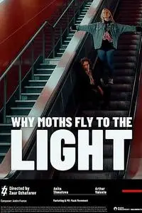 Why Moths Fly to the Light? (2020)