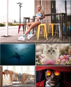 Computer Desktop Wallpapers Collection. Part (2130)
