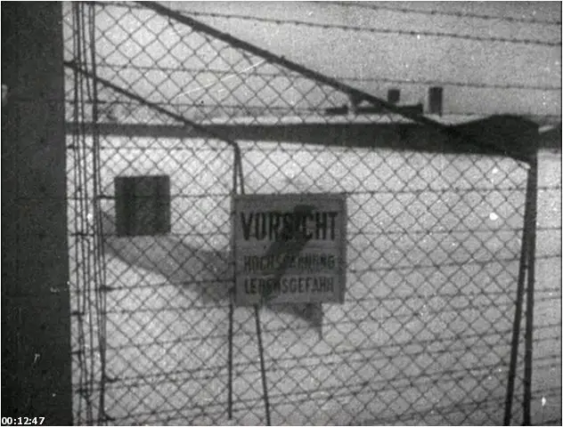 Night and Fog (1955)