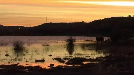 Blue Gold: World Water Wars (2009)