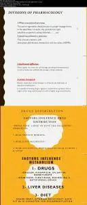 Basics of clinical pharmacology