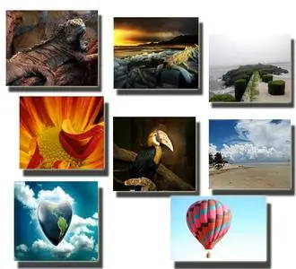HQ Special Wallpapers Pack - Vol 5