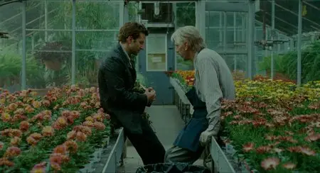 The Words (2012)